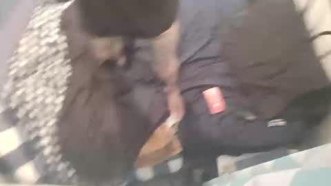 Chevy online show from October 15, 2025, 11:21 am