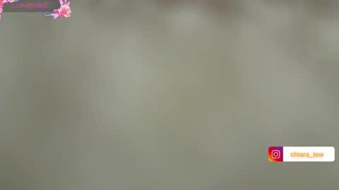 Snapshot of chiaretta99 chatting on December 12, 2024, 5:48 pm Chiara Lovense is active Pvt open online show from December 12, 2024, 5:48 pm