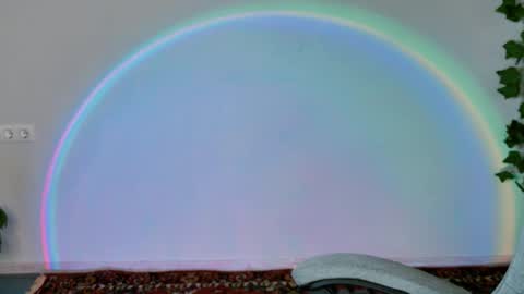 Snapshot of chillsnail_bro chatting on February 11, 2026, 9:14 am Bella online show from February 11, 2026, 9:14 am