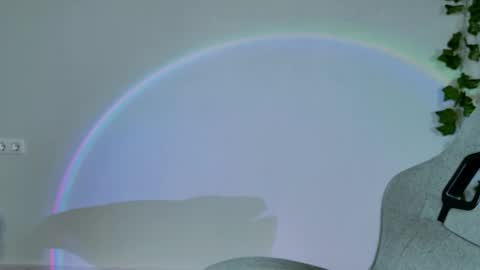 Snapshot of chillsnail_bro chatting on February 16, 2026, 9:05 am Bella online show from February 16, 2026, 9:05 am