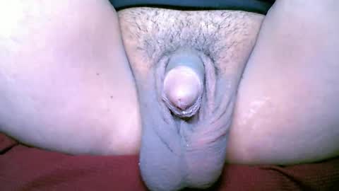 chinny_fuckdoll online show from February 3, 2026, 3:15 am