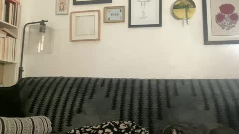 Chloe online show from December 24, 2024, 8:22 am