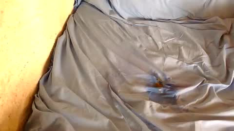 davenz online show from February 28, 2025, 3:04 pm