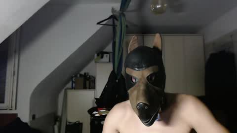 Snapshot of chrisdan_ chatting on November 1, 2025, 9:39 pm chrisdan_ online show from November 1, 2025, 9:39 pm