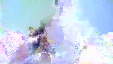 Chrispainpig torture bdsm masochist slave submissive hardcore anal CBT humiliation online show from January 7, 2025, 3:33 pm