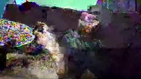 christopher1087 online show from March 3, 2026, 7:58 am