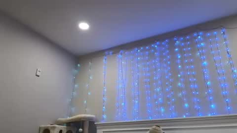 Christy Love online show from December 29, 2024, 1:24 am