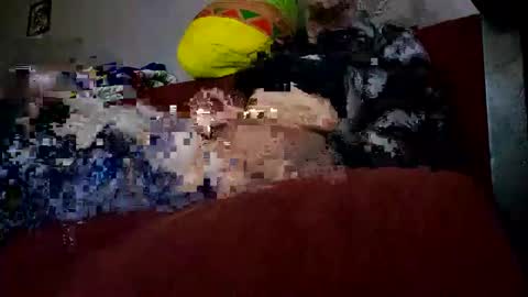 chronix14 online show from December 28, 2024, 9:31 am