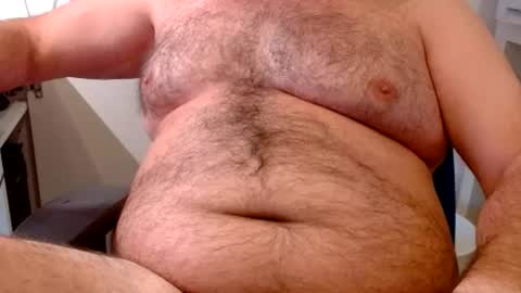 Chubby Bear BY online show from July 1, 2026, 7:54 am