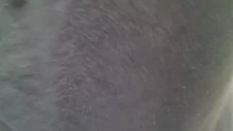 Snapshot of chubbycub14 chatting on February 7, 2026, 3:38 pm chubbycub14 online show from February 7, 2026, 3:38 pm