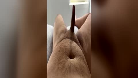 chubbydick9069 online show from June 15, 2026, 4:20 pm