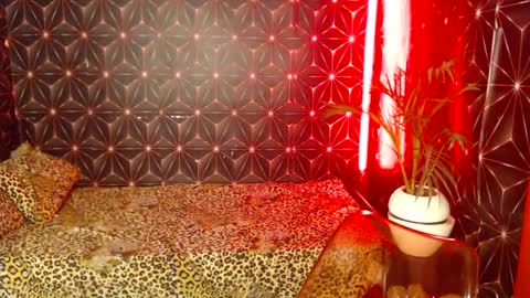 Cindy online show from December 28, 2024, 10:13 pm
