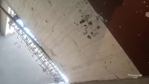 Circumsised Bull online show from January 13, 2026, 11:26 am