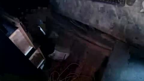 cj_wunderlust online show from November 4, 2025, 7:02 pm