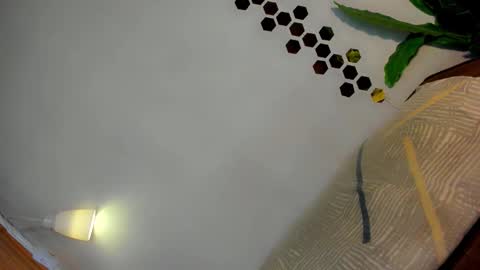 Amanda trans red one  Anna Girl black one online show from January 12, 2026, 3:17 pm