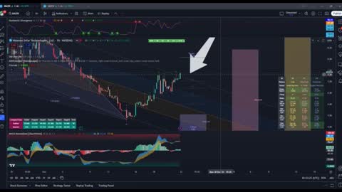 Alex C. online show from December 25, 2024, 4:54 am