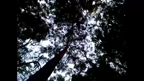 Snapshot of cmdwmd chatting on January 26, 2025, 8:57 am Matriarch Muse online show from January 26, 2025, 8:57 am