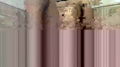 cockdoc4444 online show from October 15, 2025, 5:40 am