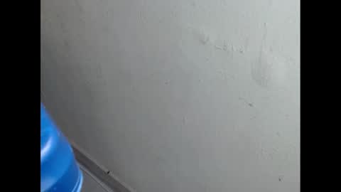 Snapshot of cockfanx chatting on February 21, 2025, 1:55 pm cockfanx online show from February 21, 2025, 1:55 pm