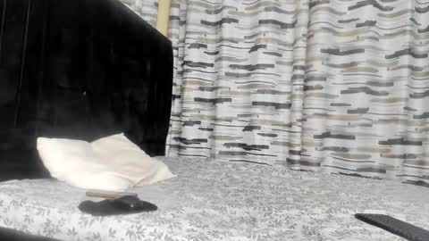 coco_leila online show from January 29, 2025, 4:47 am