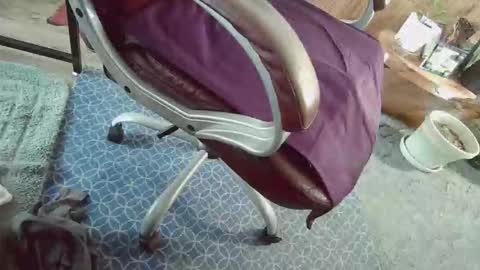 cody81421 online show from January 12, 2026, 2:22 pm