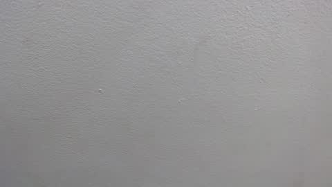 Snapshot of colombia_mommy_ chatting on January 16, 2025, 12:31 pm  GRETCHEN  online show from January 16, 2025, 12:31 pm