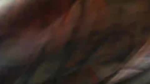 comox online show from February 10, 2025, 9:04 am