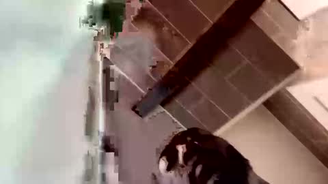 concernsburn online show from January 7, 2026, 4:48 am