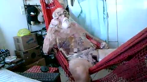 Snapshot of concris chatting on June 10, 2026, 3:55 pm Paturi online show from June 10, 2026, 3:55 pm