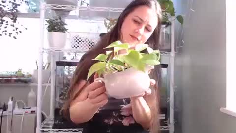 ANR Mommy online show from October 4, 2025, 4:27 pm