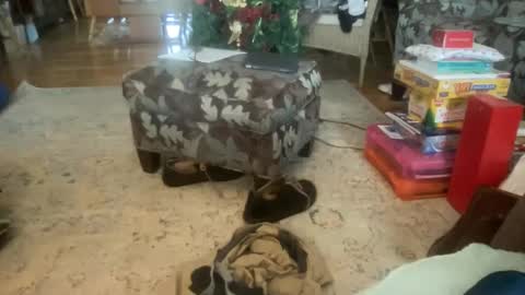 whatever you want it to be online show from December 17, 2024, 7:15 pm