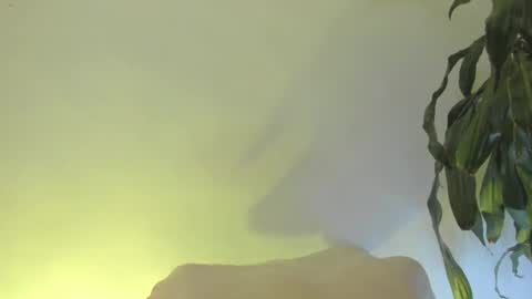 Snapshot of coral_princex chatting on February 20, 2026, 6:26 am Coral princex online show from February 20, 2026, 6:26 am