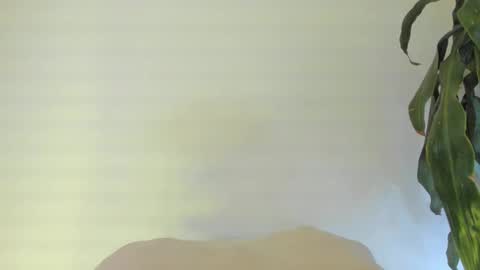 Snapshot of coral_princex chatting on February 24, 2026, 6:11 am Coral princex online show from February 24, 2026, 6:11 am