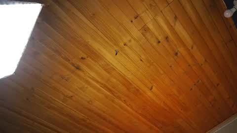 Coraline online show from April 14, 2026, 12:55 pm