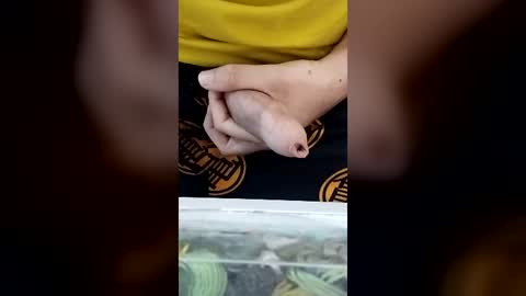 coronel_pliskin online show from July 1, 2026, 11:59 pm