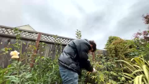 coronelking online show from September 28, 2025, 10:26 pm