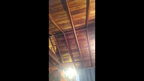 country_man61 online show from June 8, 2026, 12:14 am