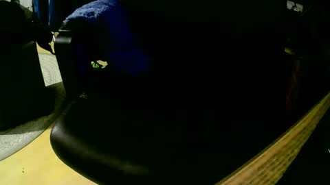 coyote017 online show from November 1, 2025, 7:49 pm