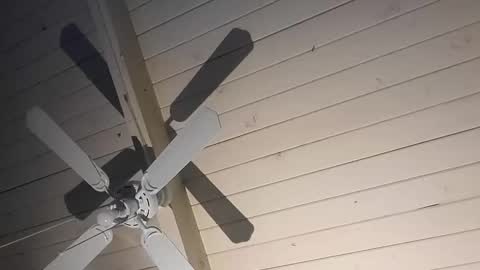 cpdobbs38 online show from January 11, 2026, 12:21 pm