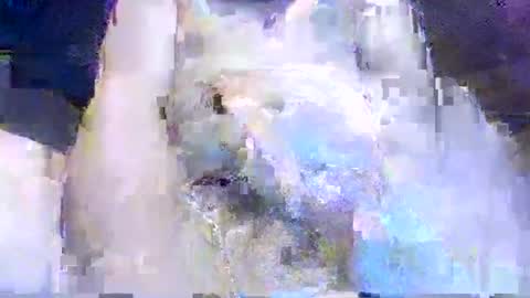 Snapshot of crazydog3690 chatting on March 12, 2026, 1:34 am crazydog3690 online show from March 12, 2026, 1:34 am