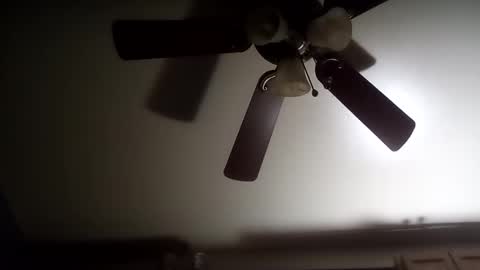 creampie315 online show from December 22, 2024, 11:44 am