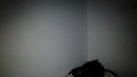 cris_master_ online show from September 23, 2025, 1:52 am