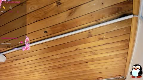 Cristal online show from February 10, 2026, 4:05 am