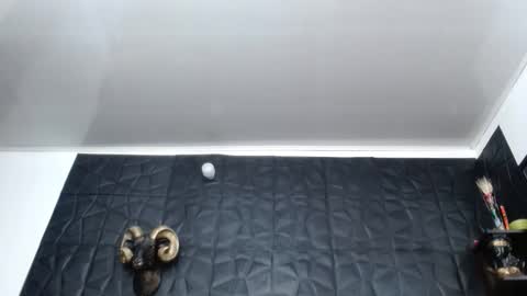 Hanna  online show from February 26, 2026, 10:25 am