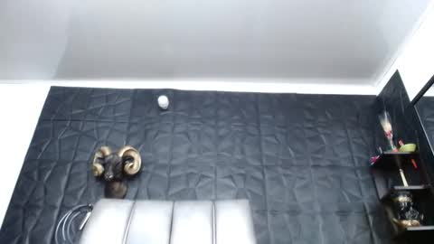 Hanna  online show from April 21, 2026, 8:53 am