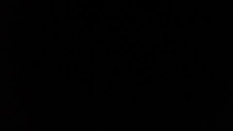 cristal miller online show from April 16, 2026, 9:39 pm