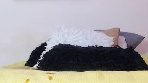    online show from January 15, 2025, 1:45 am