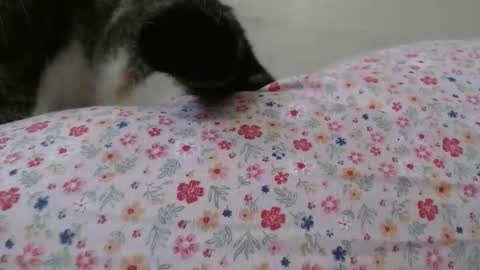 cristiyna36 online show from March 25, 2026, 12:11 pm