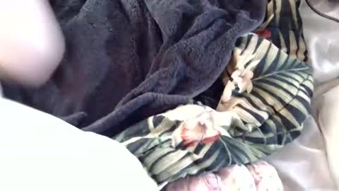 Crucifux online show from January 30, 2025, 8:31 pm