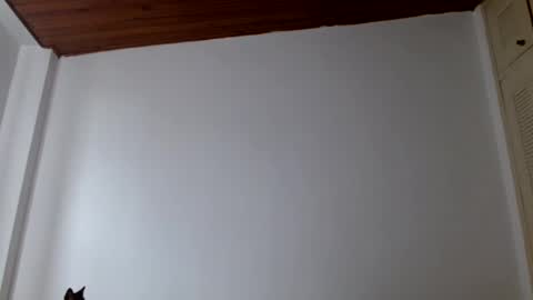 Snapshot of crystal_starx chatting on July 18, 2026, 3:49 pm Crystal Blaze online show from July 18, 2026, 3:49 pm